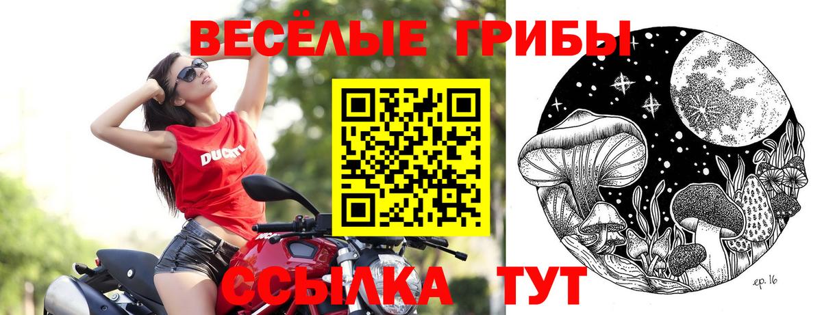 Псилоцибиновые грибы мицелий Конаково