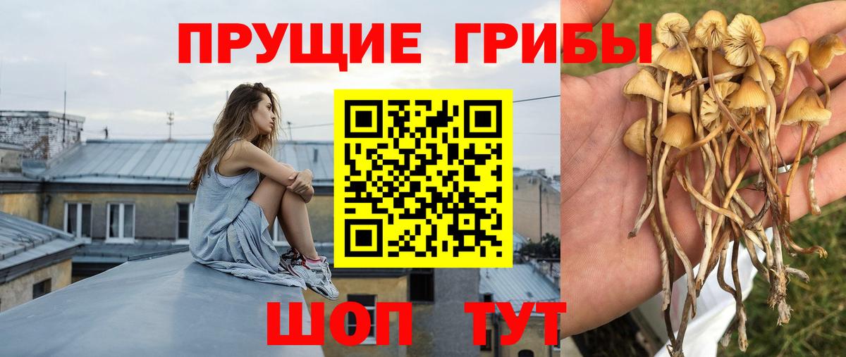 Псилоцибиновые грибы MAGIC MUSHROOMS  Вход с VPN  Конаково  Галлюциногенные грибы ЛСД 